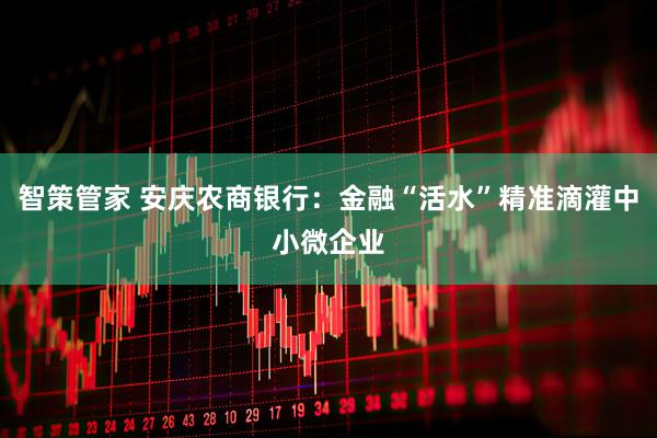智策管家 安庆农商银行：金融“活水”精准滴灌中小微企业