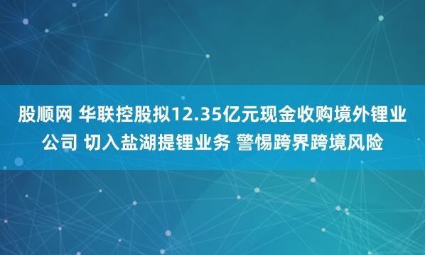 股顺网 华联控股拟12.35亿元现金收购境外锂业公司 切入盐湖提锂业务 警惕跨界跨境风险