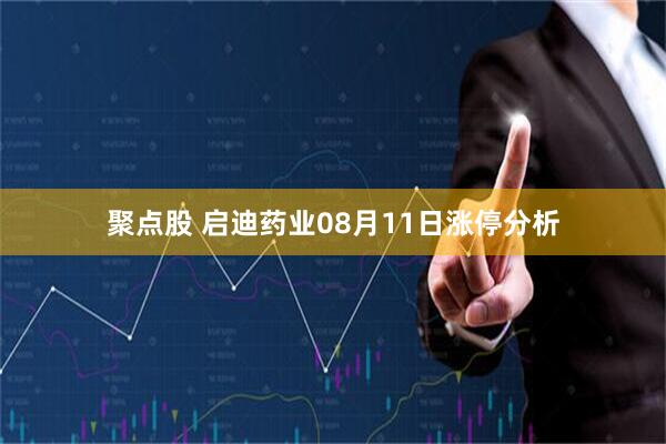 聚点股 启迪药业08月11日涨停分析