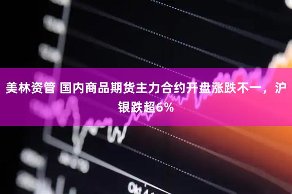 美林资管 国内商品期货主力合约开盘涨跌不一，沪银跌超6%